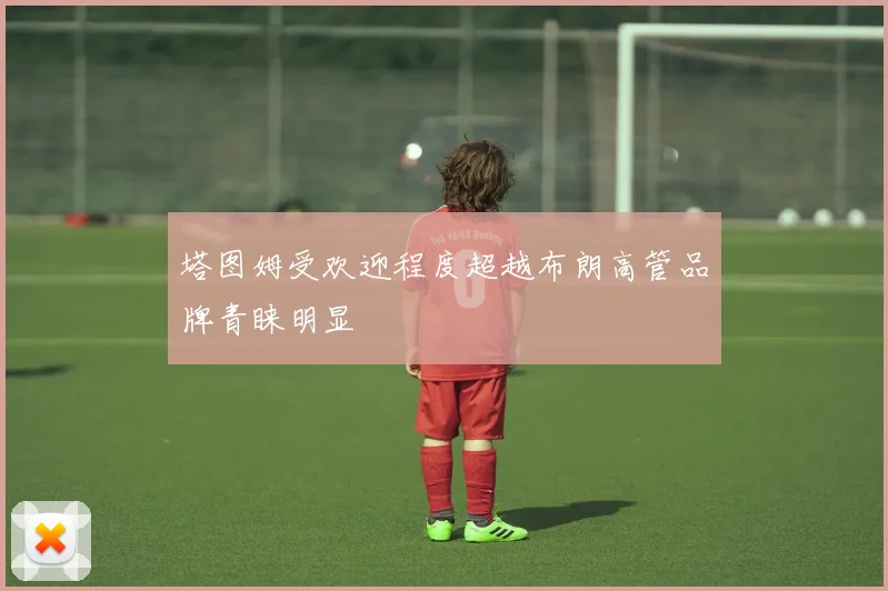 塔图姆受欢迎程度超越布朗高管品牌青睐明显