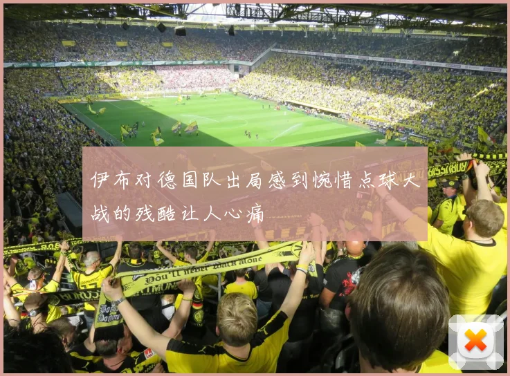 伊布对德国队出局感到惋惜点球大战的残酷让人心痛