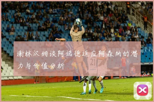 谢林汉姆谈阿诺德适应阿森纳的潜力与价值分析