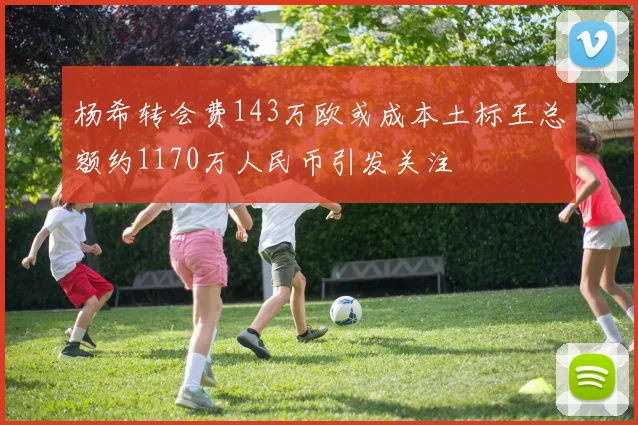 杨希转会费143万欧或成本土标王总额约1170万人民币引发关注